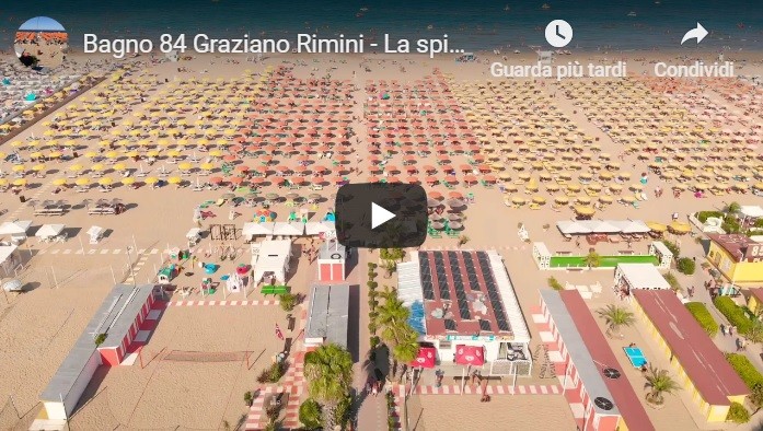 Spiaggia Per Cani Rimini Spiaggi Per Disabili Dog